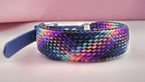 Dark Rainbow - Halsband und Leine im Set – Bild 2