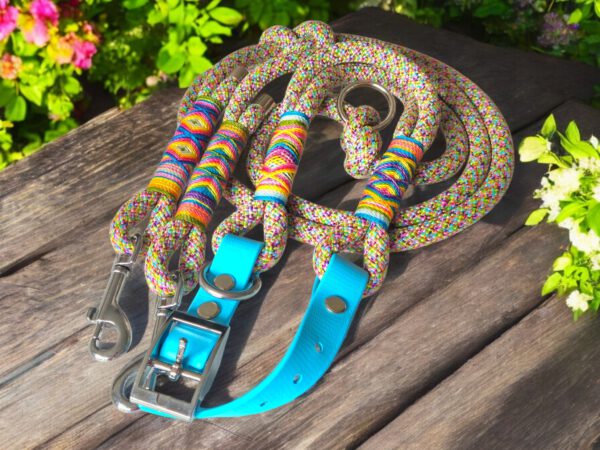 Flower Power - Halsband und Leine im Set