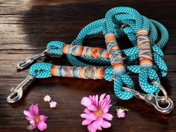 Turquoise - Leine